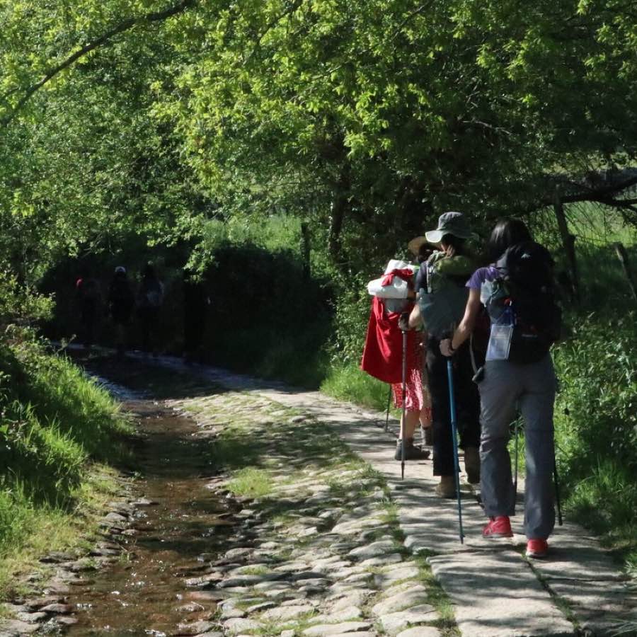 Llegada a Santiago de Compostela tras las últimas 100km desde Sarria