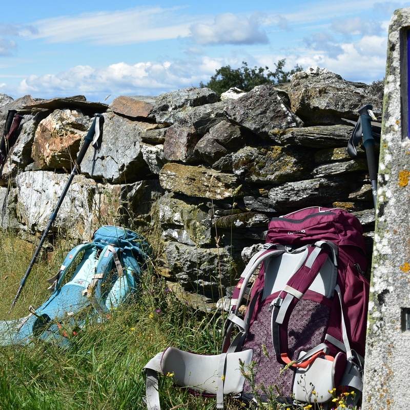 Camino del Norte